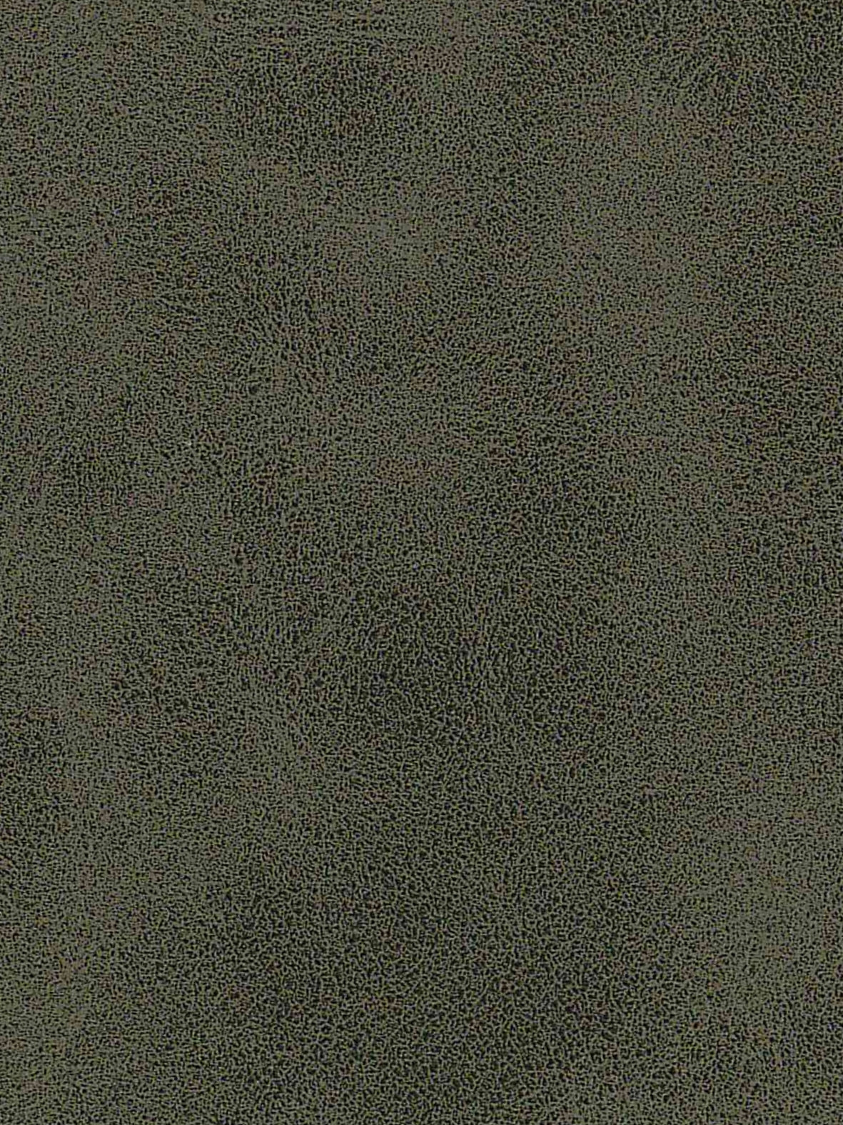 Imagen de A-375-ST-FR