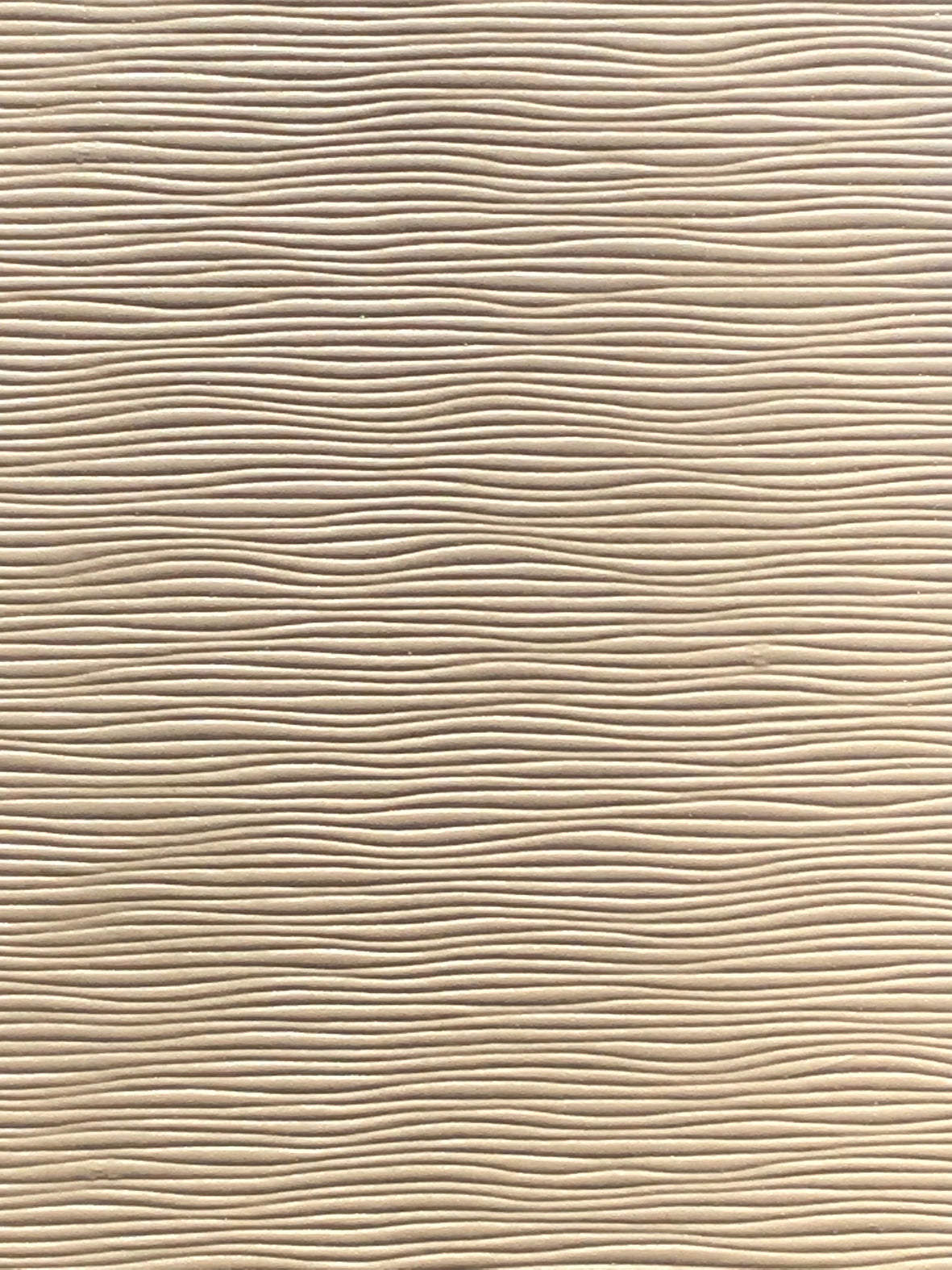 Imagen de BAM-BIANCO