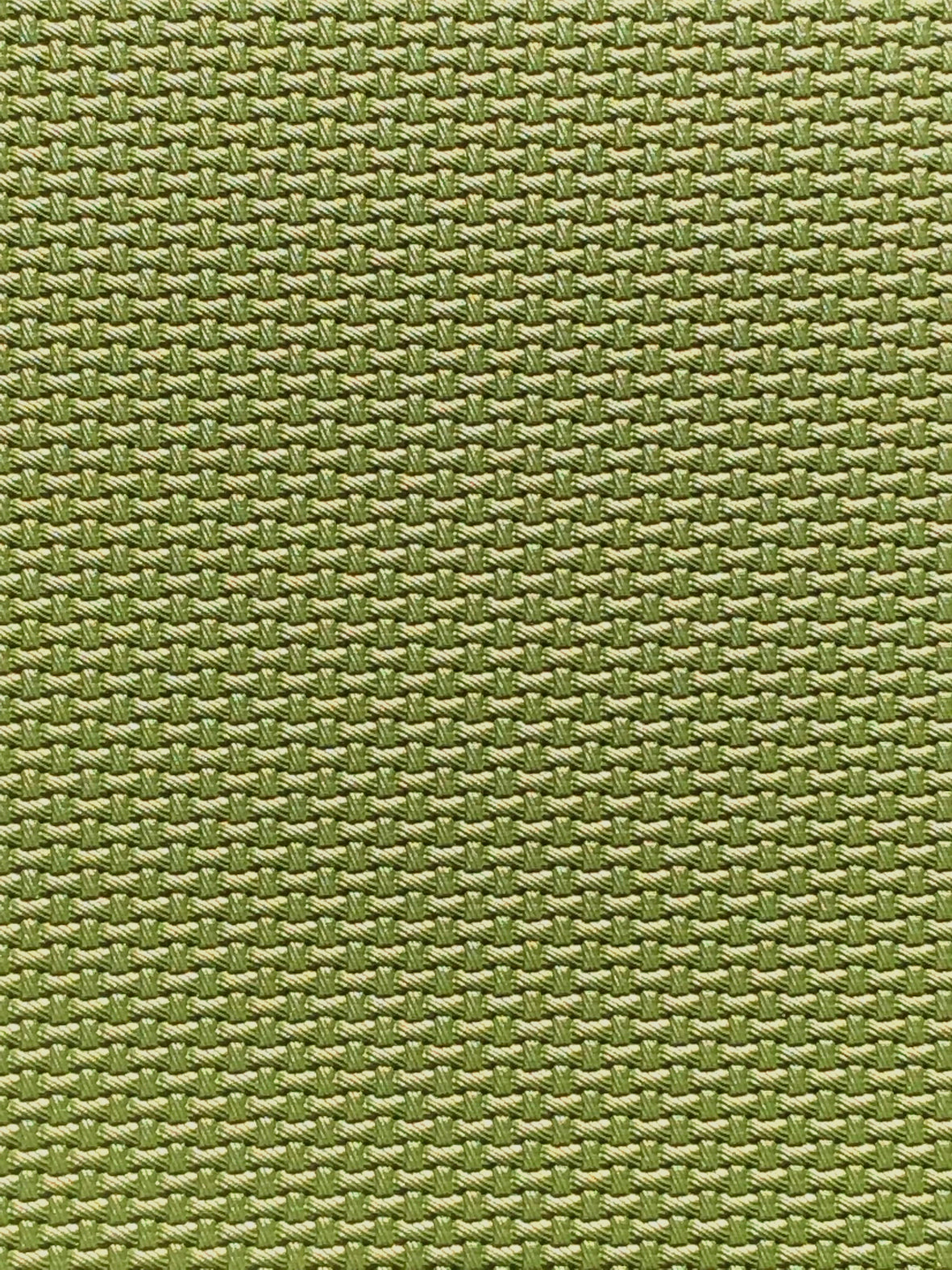 Imagen de CARB-KIWI
