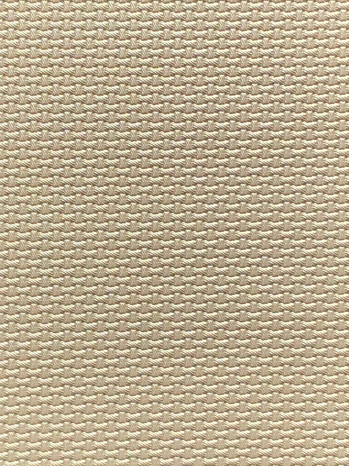 Imagen de CARB-PERLA