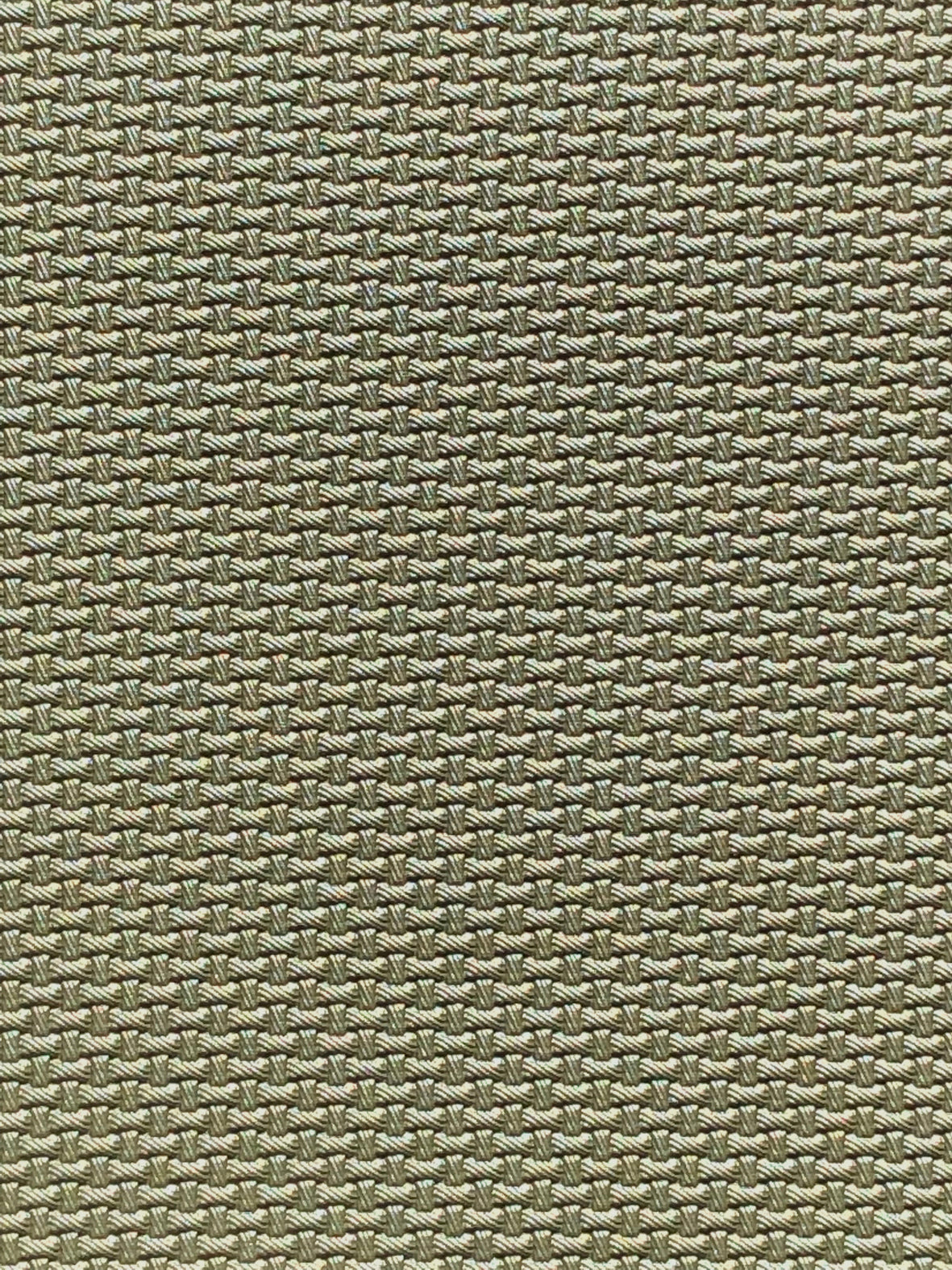 Imagen de CARB-SALVIA