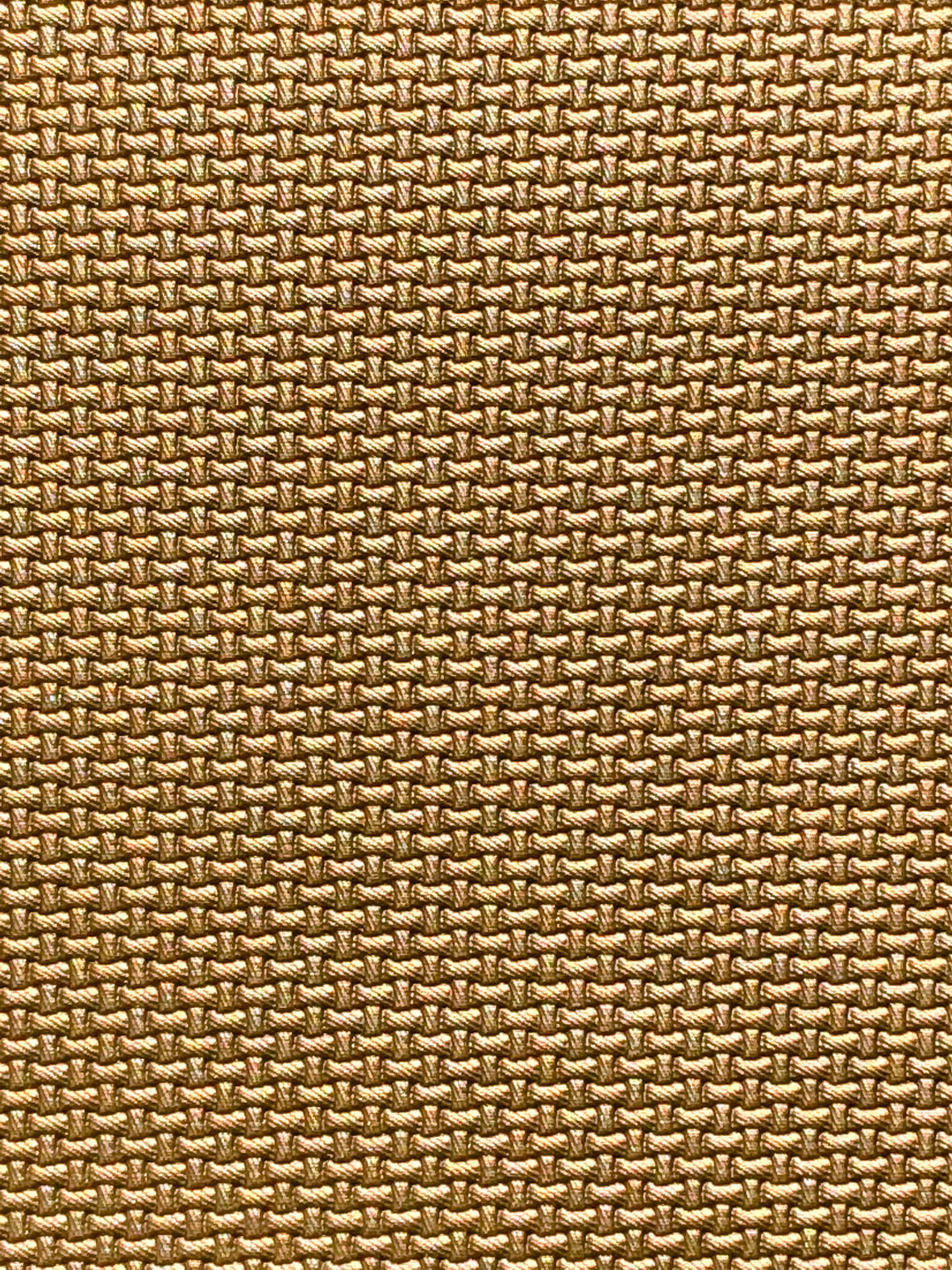 Imagen de CARB-VISON