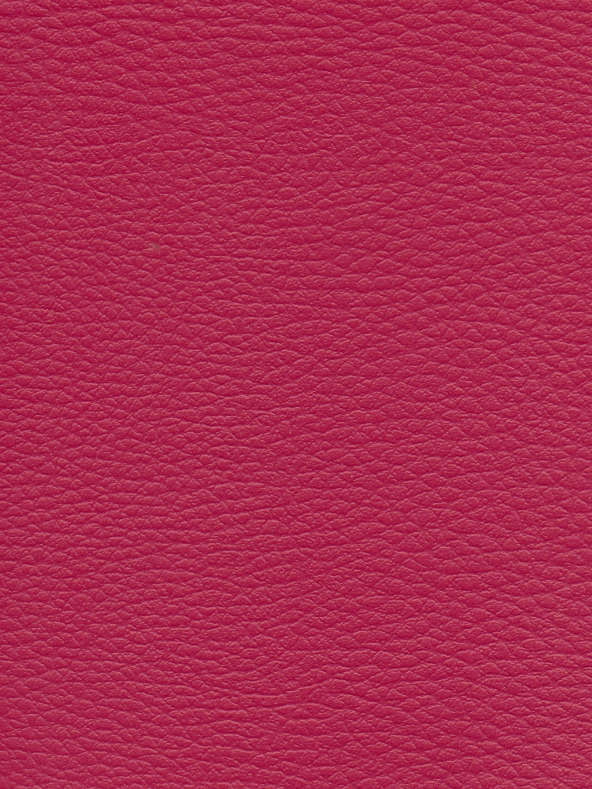 Imagen de CI-BEGOÑA