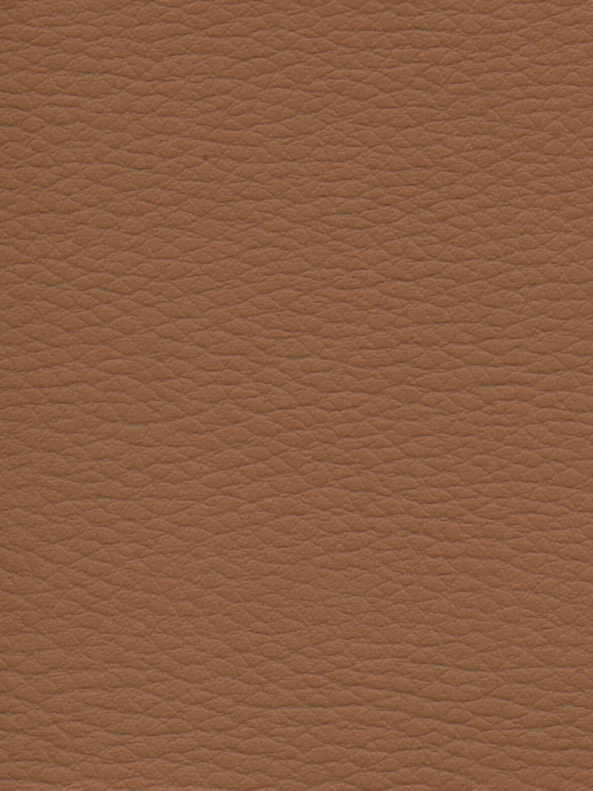 Imagen de CI-CAPUCCINO