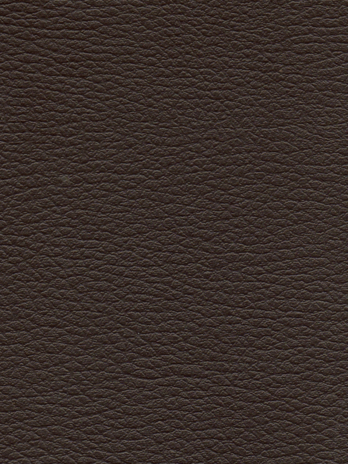 Imagen de CI-CHOCOLATE