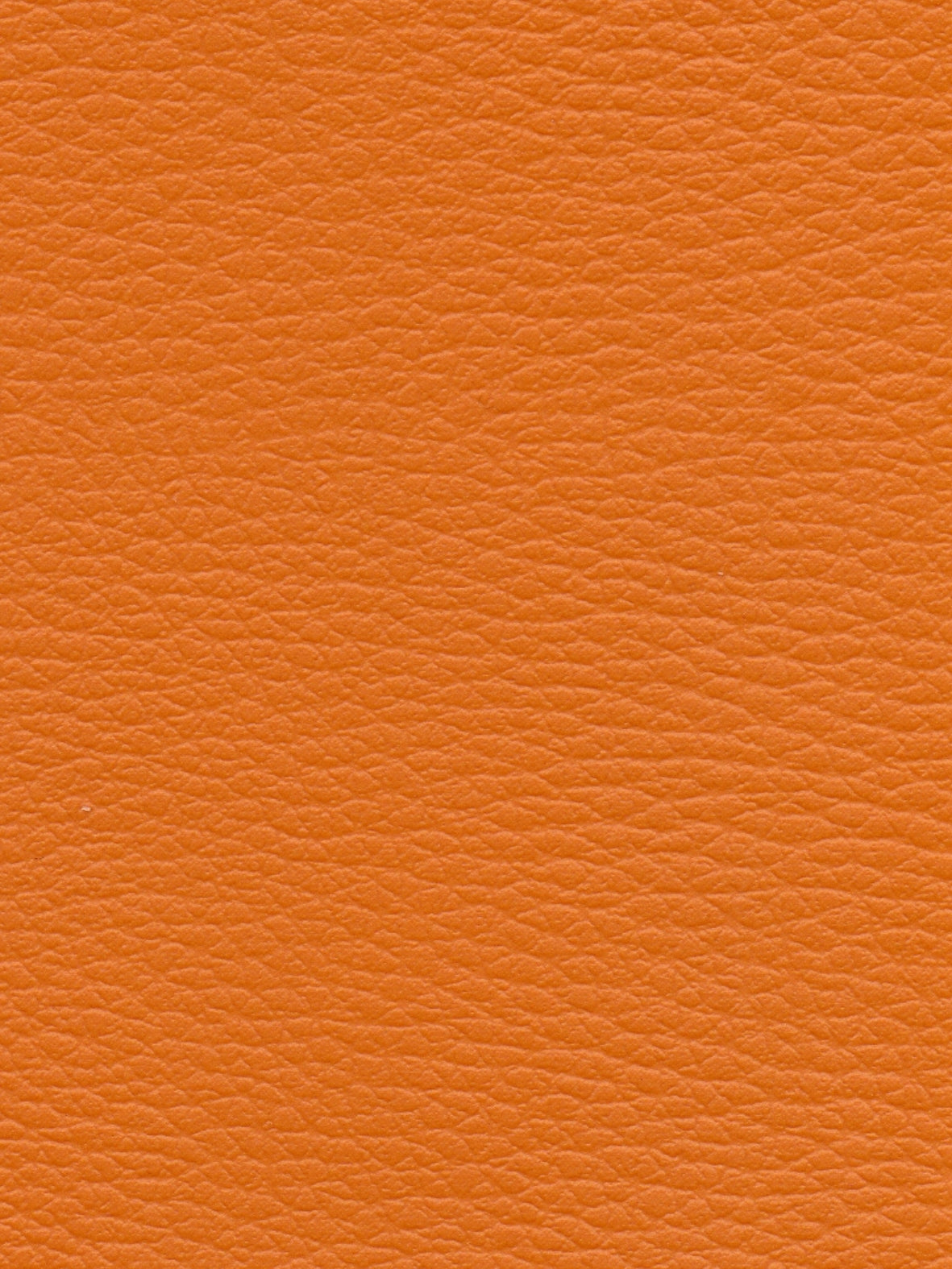 Imagen de CI-CITROUILLE