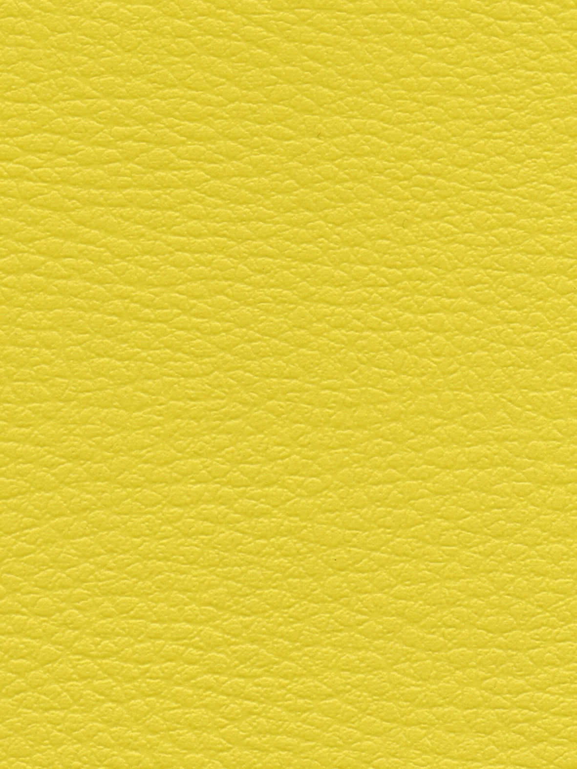 Imagen de CI-ENDIVE