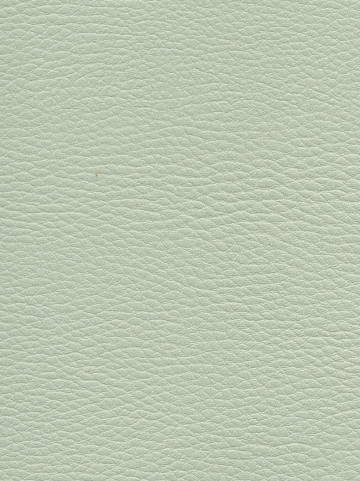 Imagen de CI-GLACIER