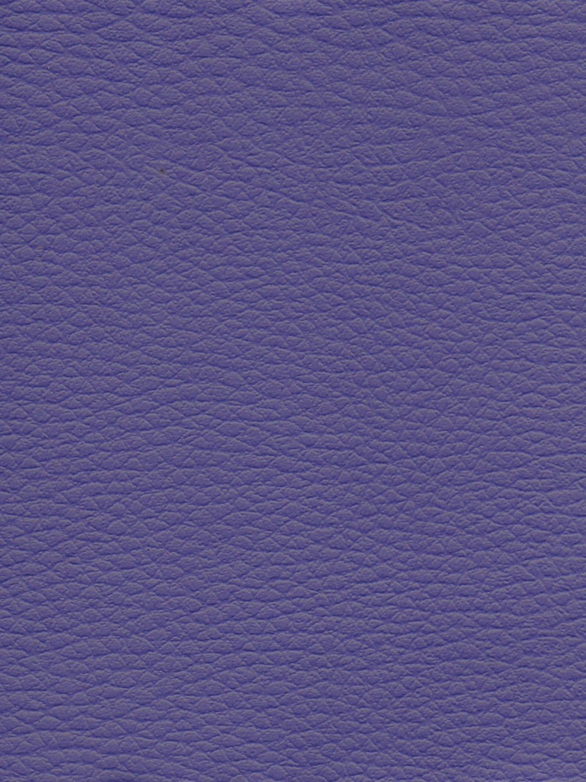 Imagen de CI-LAVANDA