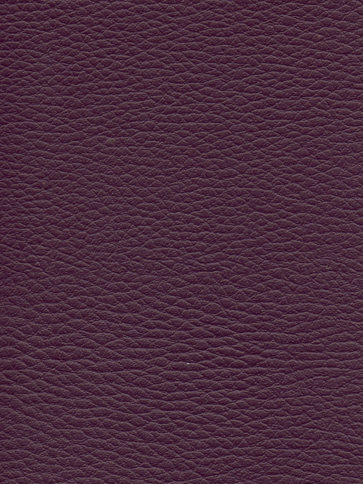 Imagen de CI-MARTILLE