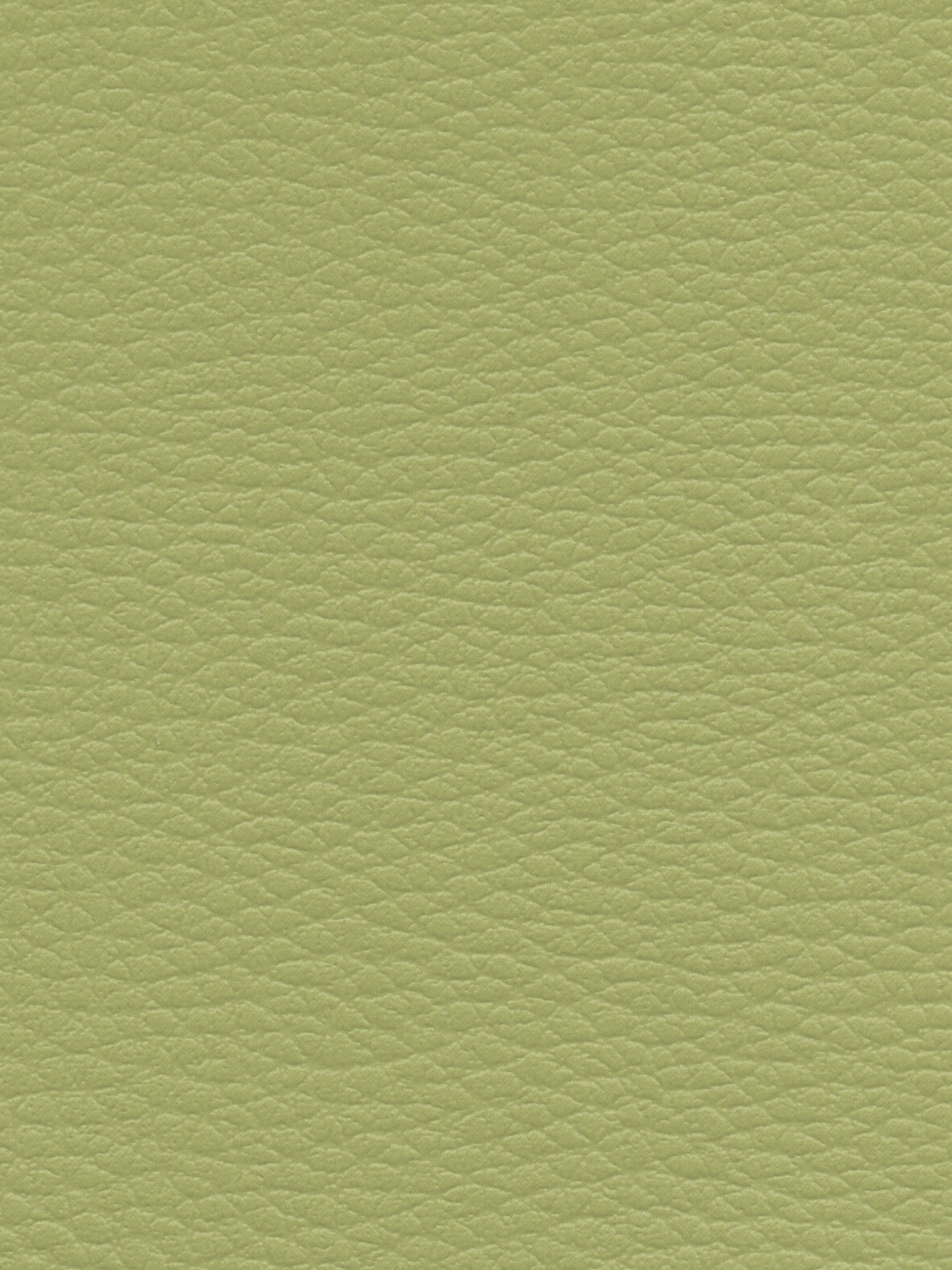 Imagen de CI-MENTHE