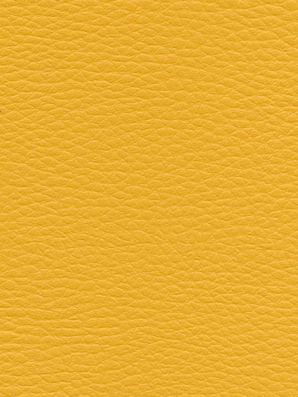 Imagen de CI-MIRABELLE