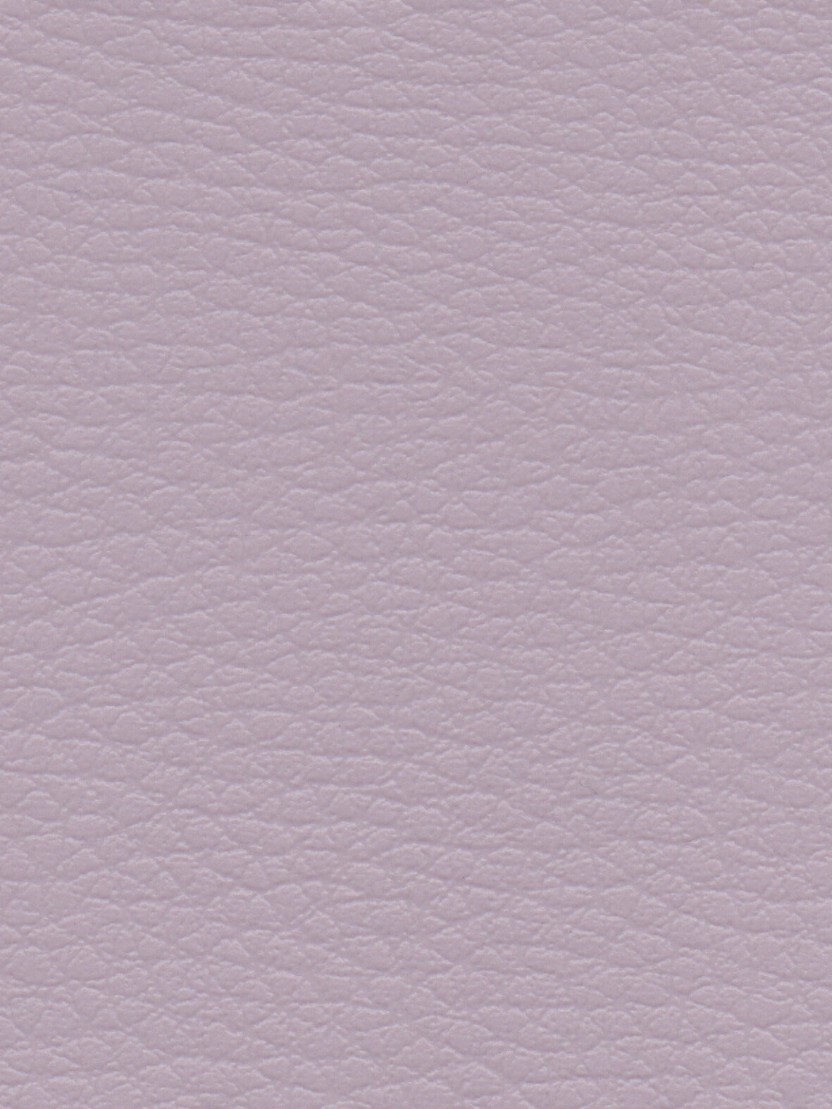 Imagen de CI-PRALINE