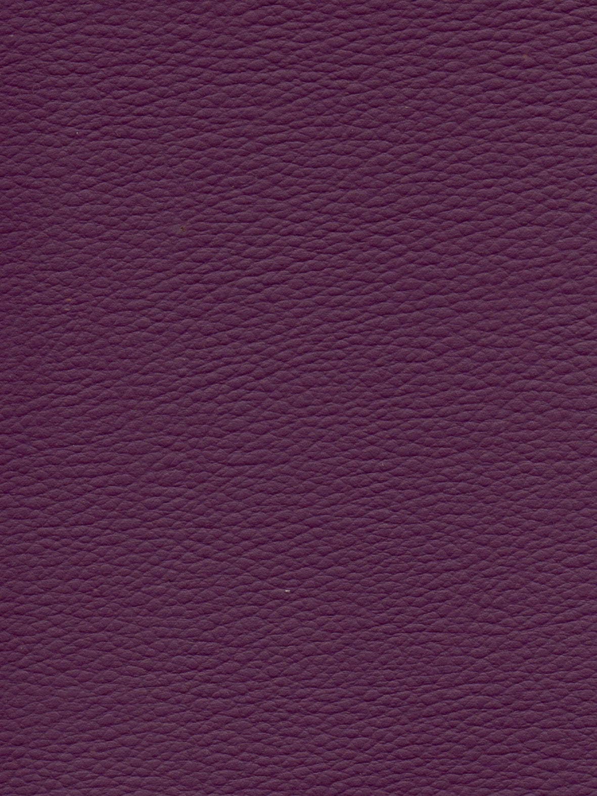 Imagen de CI-QUETSCHE