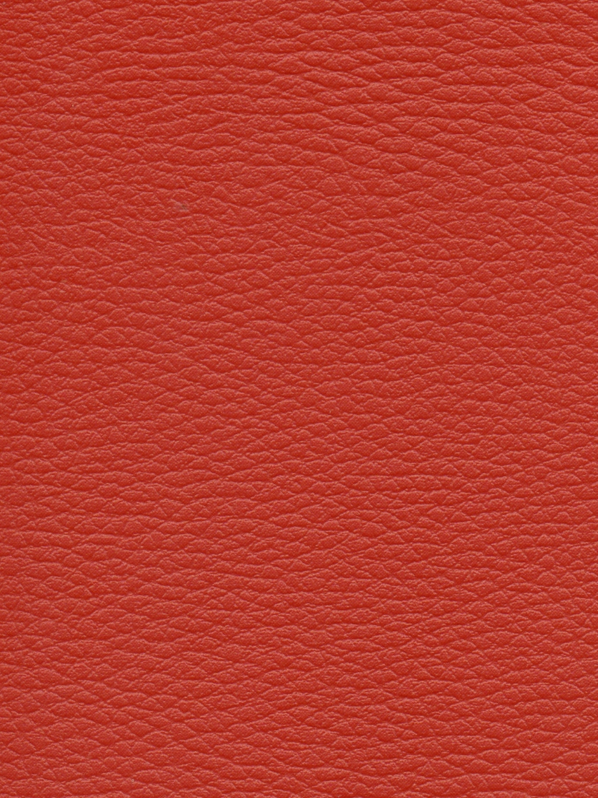 Imagen de CI-TOMETTE