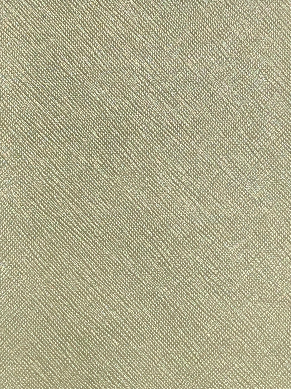 Imagen de COR-SALVIA