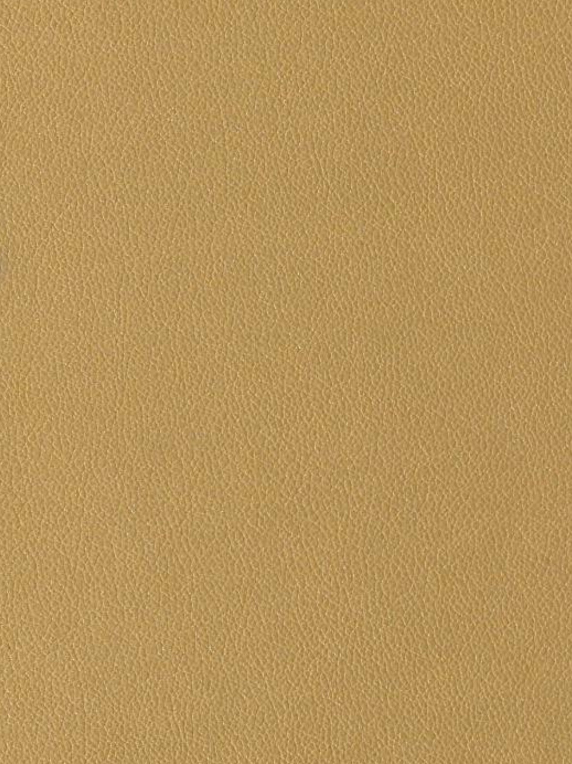 Imagen de EVF-MT-206