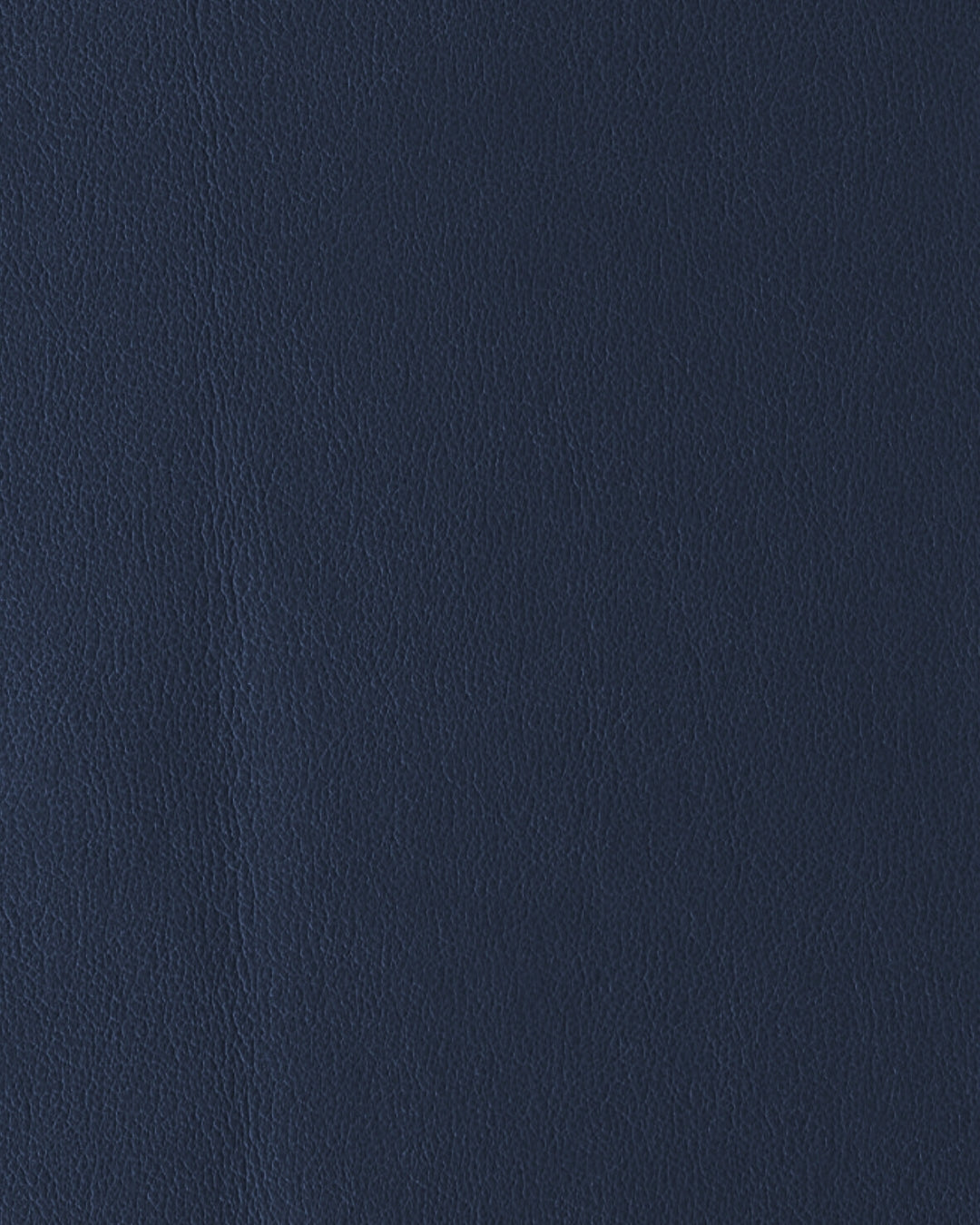 Imagen de EVF-MT-569