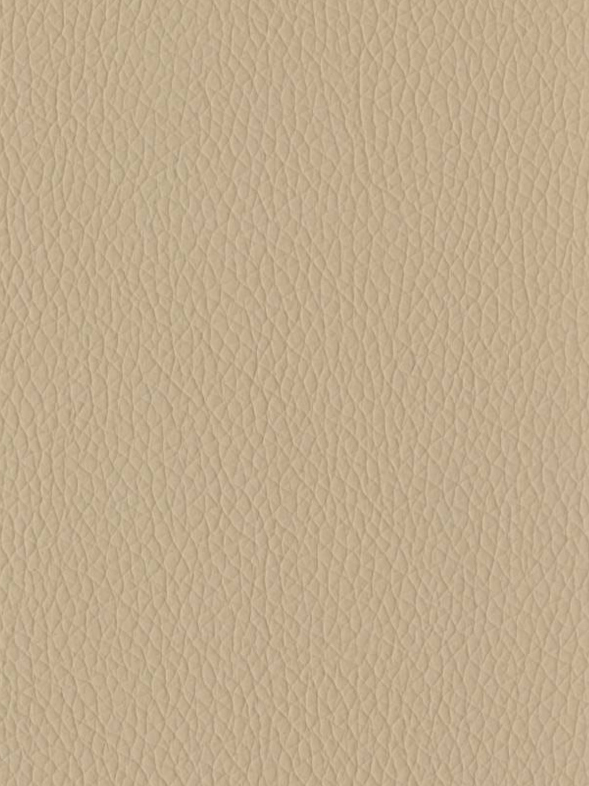 Imagen de EVG-05-FR