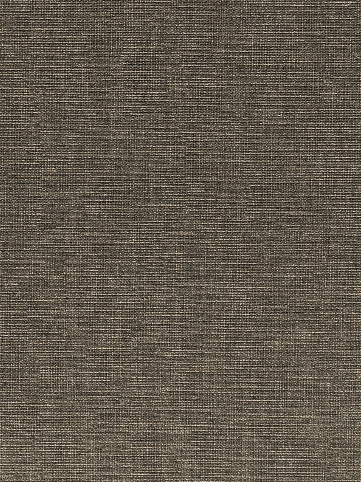 Imagen de EXC-771