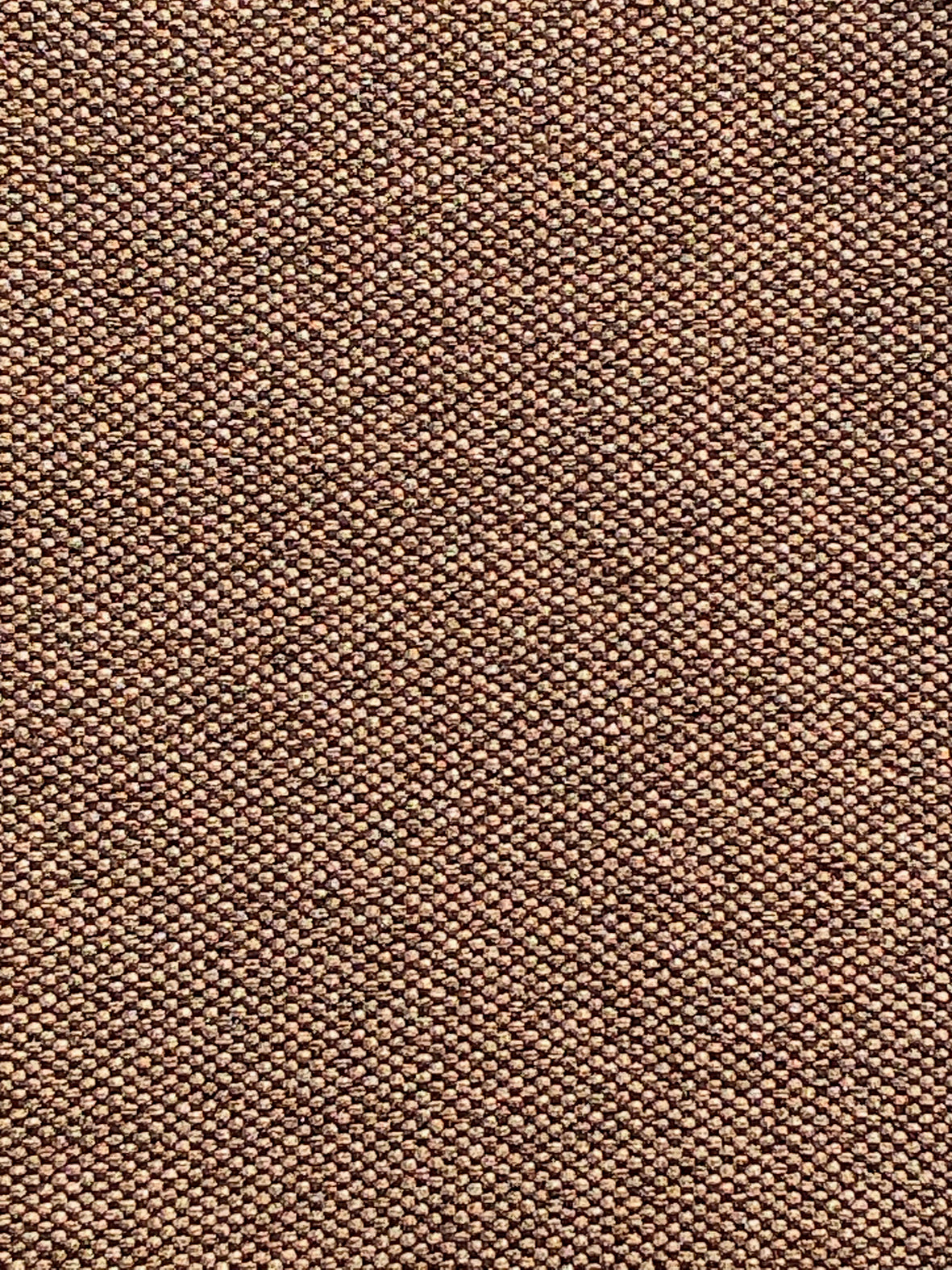 Imagen de FILO-PARDO