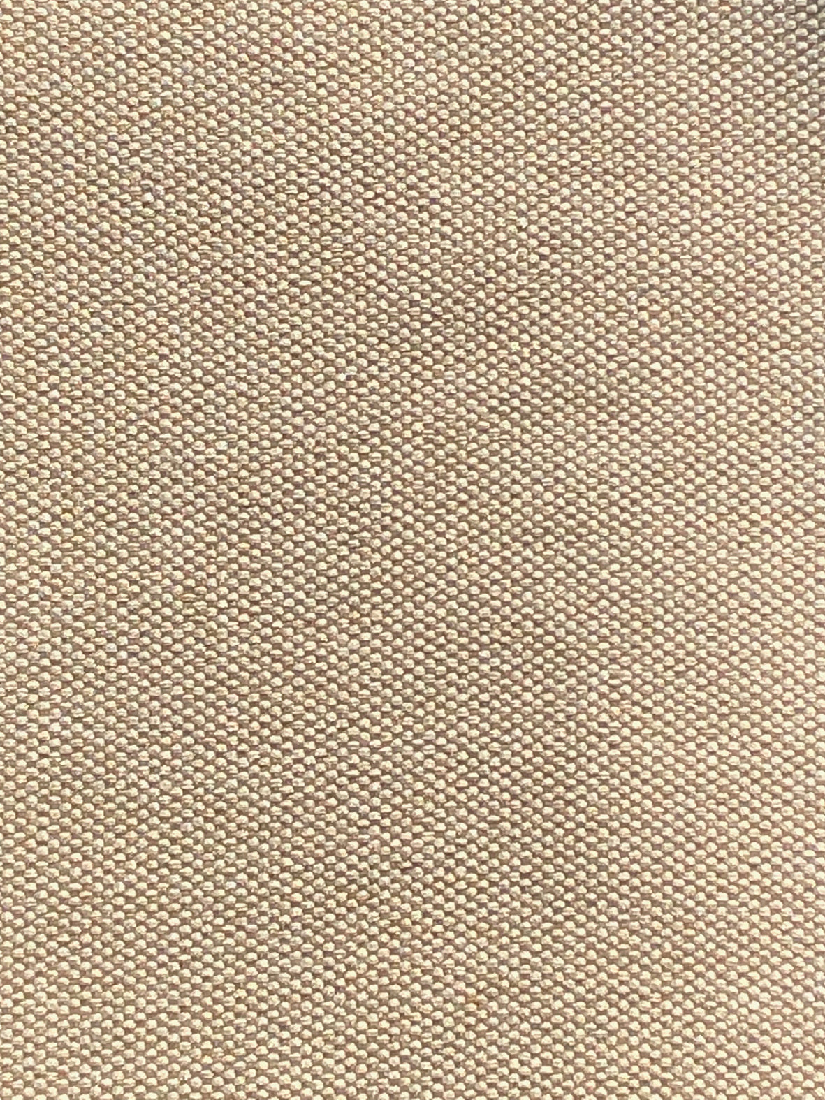 Imagen de FILO-TOAST