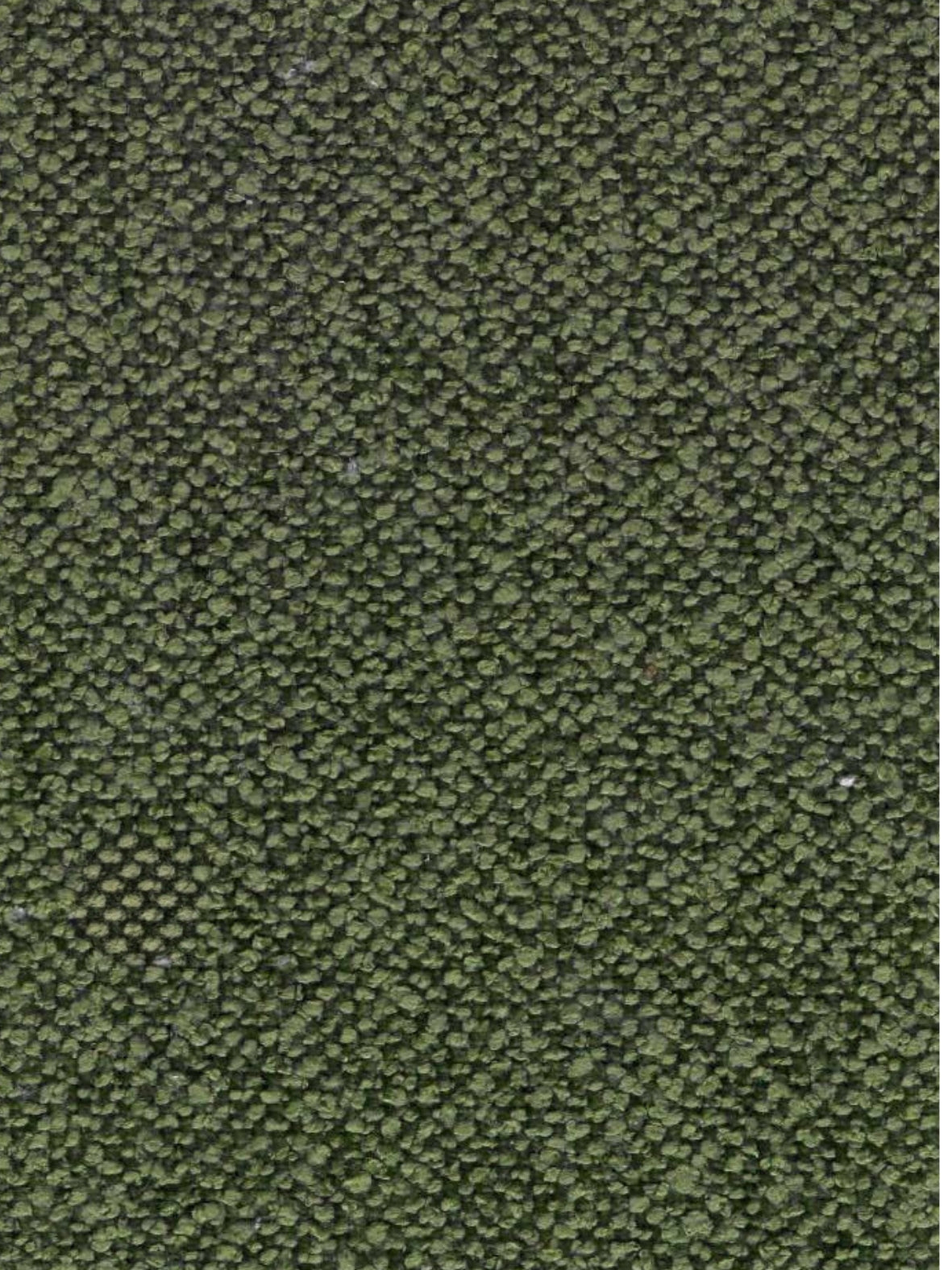 Imagen de GRU-MOSS