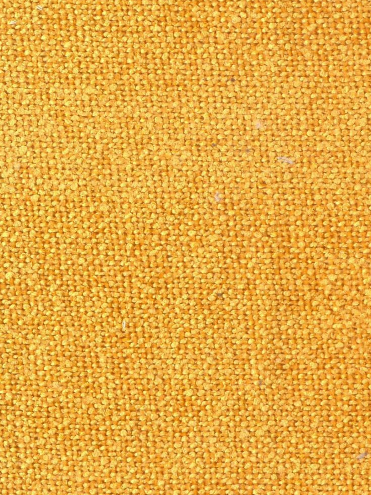 Imagen de GRU-MUSTARD