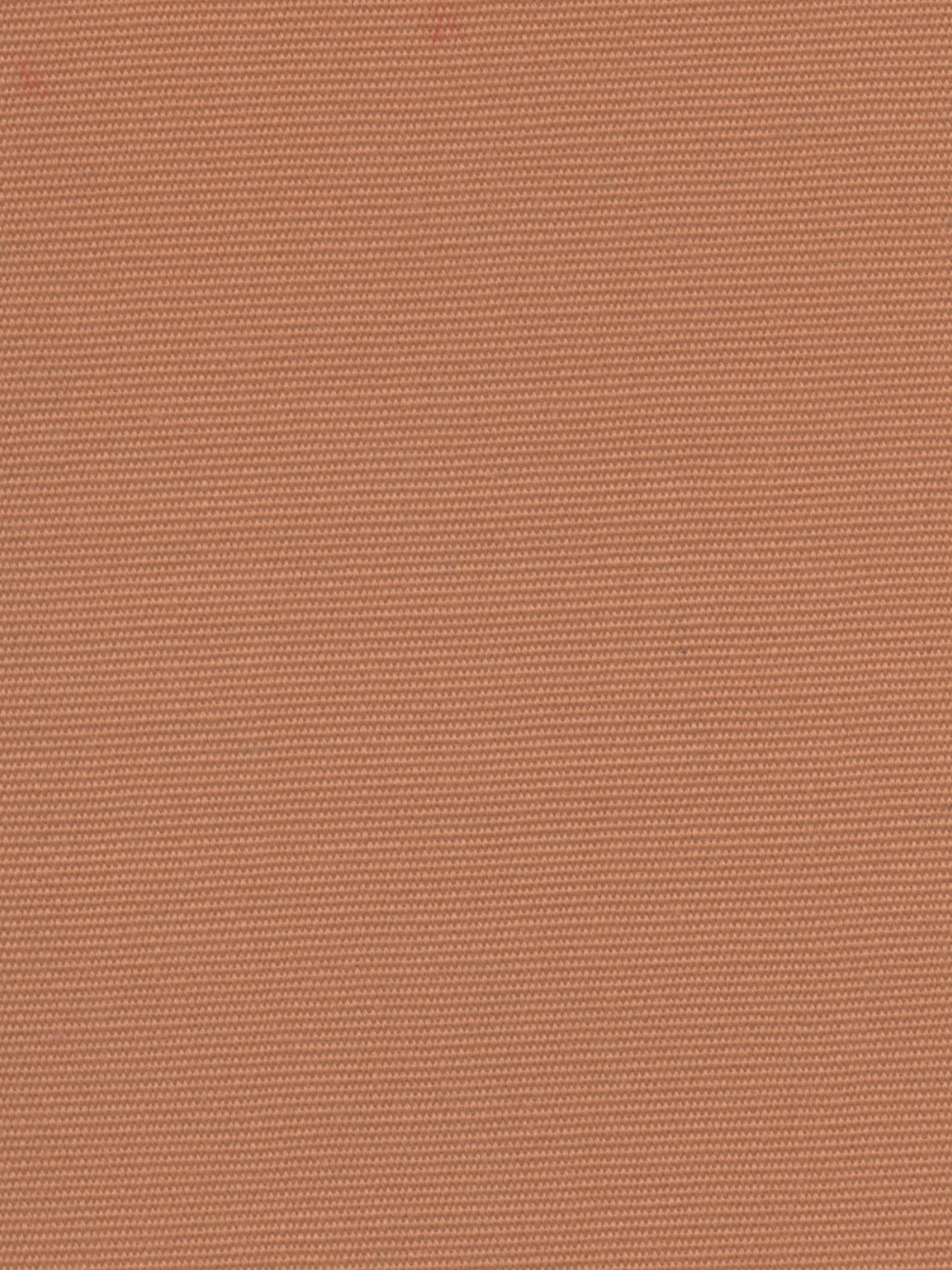 Imagen de HYD-GINGER