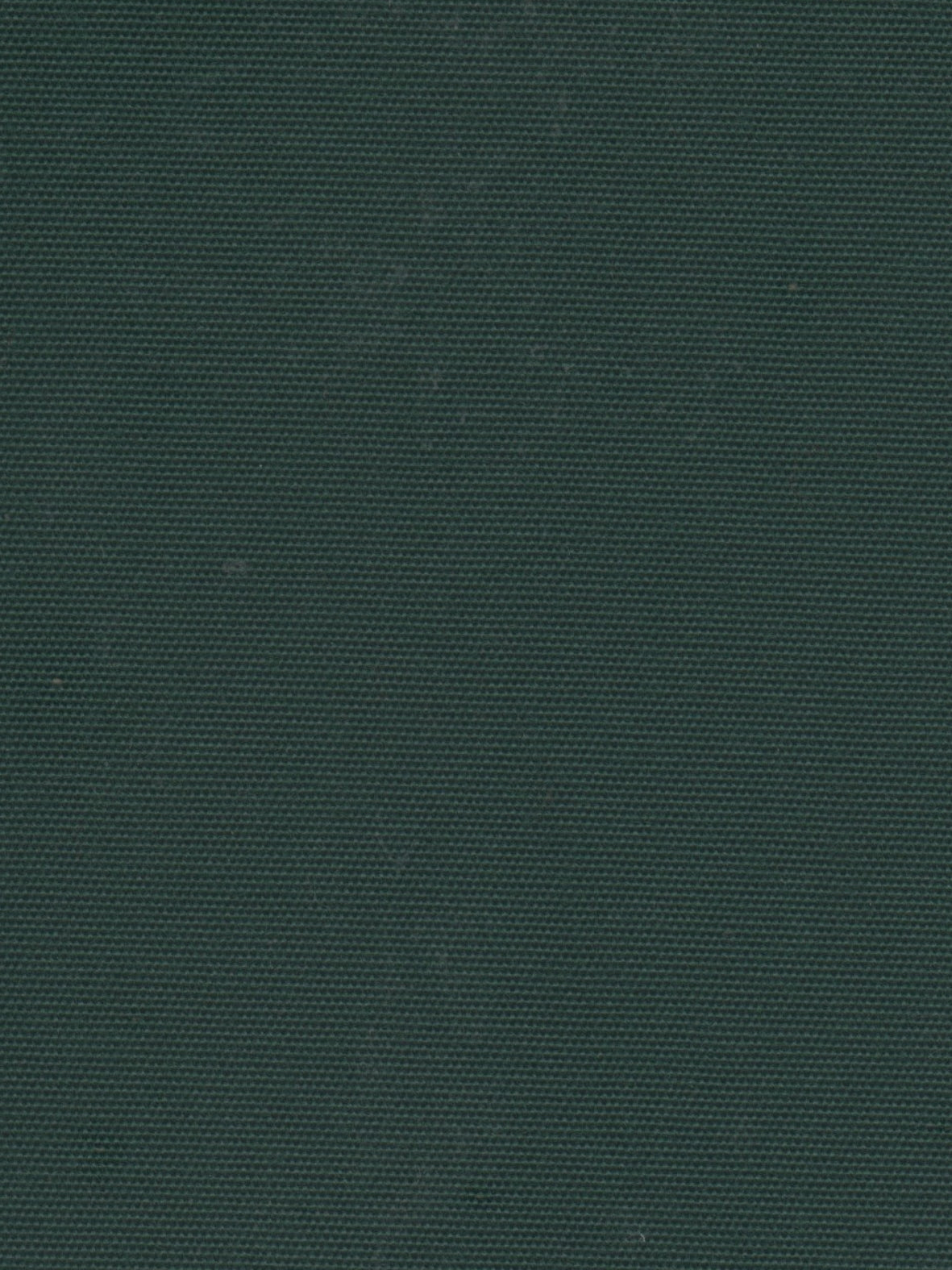 Imagen de HYD-JUNGLE