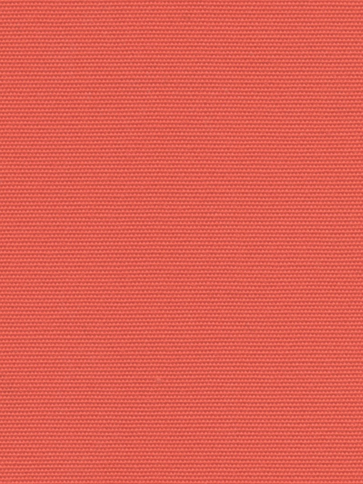 Imagen de HYD-MANDARIN