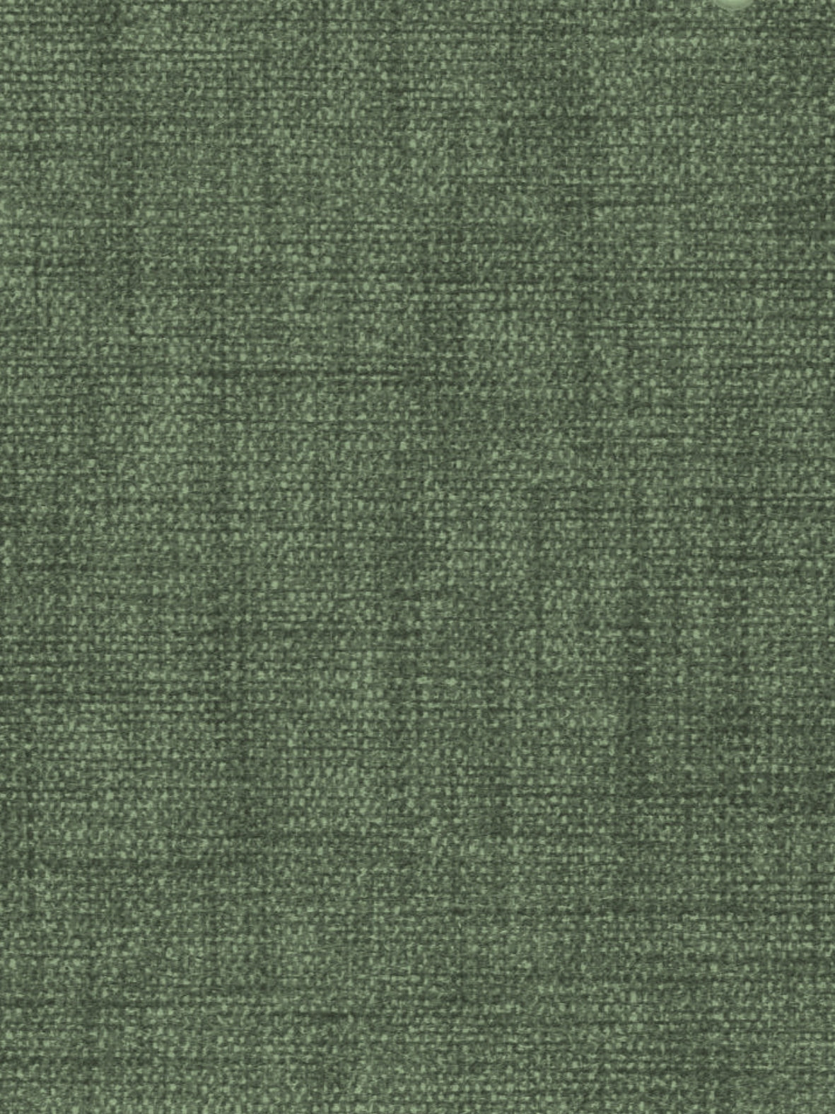 Imagen de LIN-SIL-1445