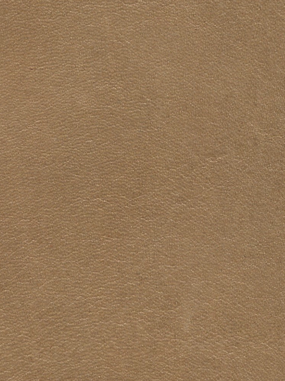 Imagen de LP-NATURAL