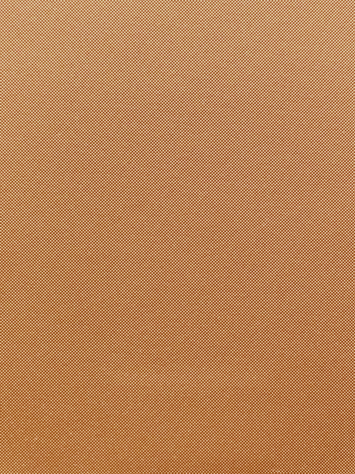 Imagen de MAX-BRONCE