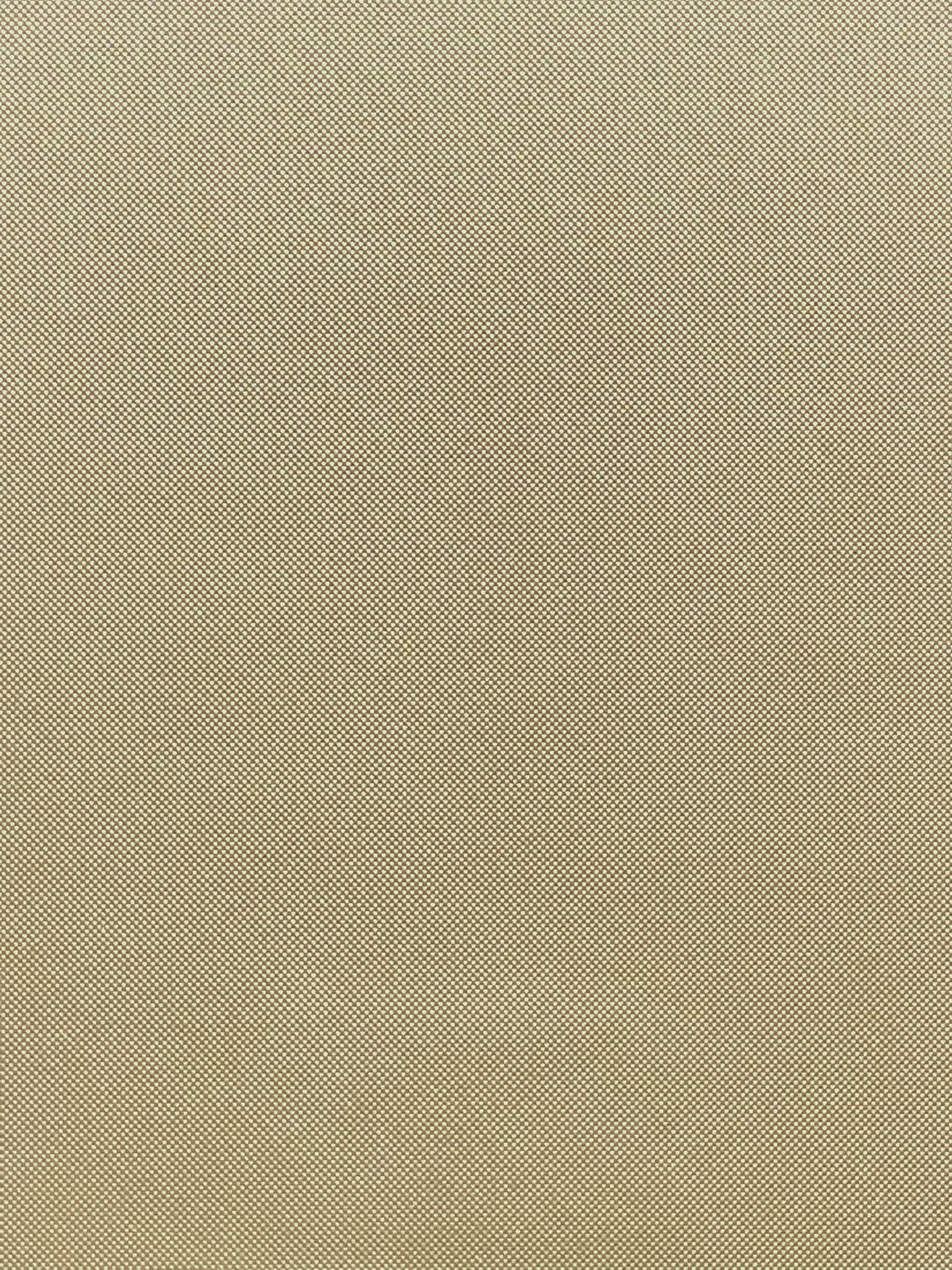 Imagen de MAX-SALVIA