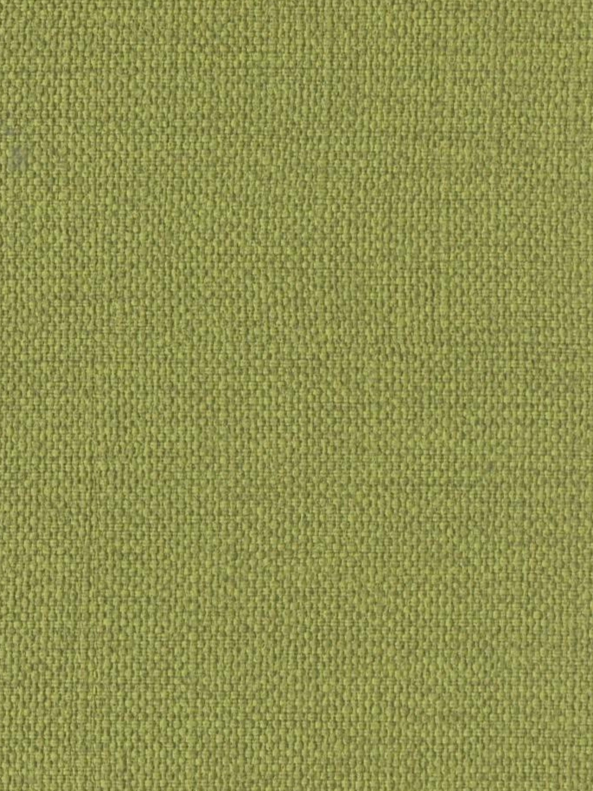 Imagen de ORG-PISTACHE