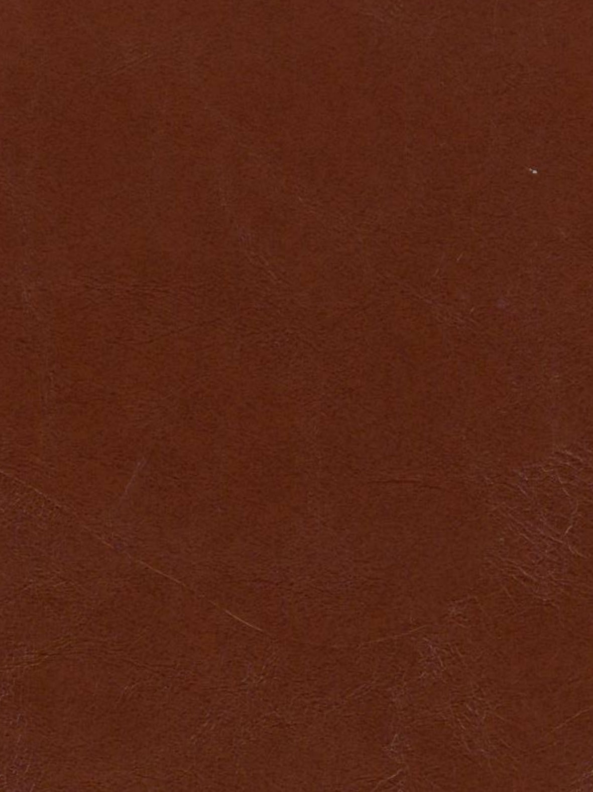 Imagen de OXF-ESPRESSO