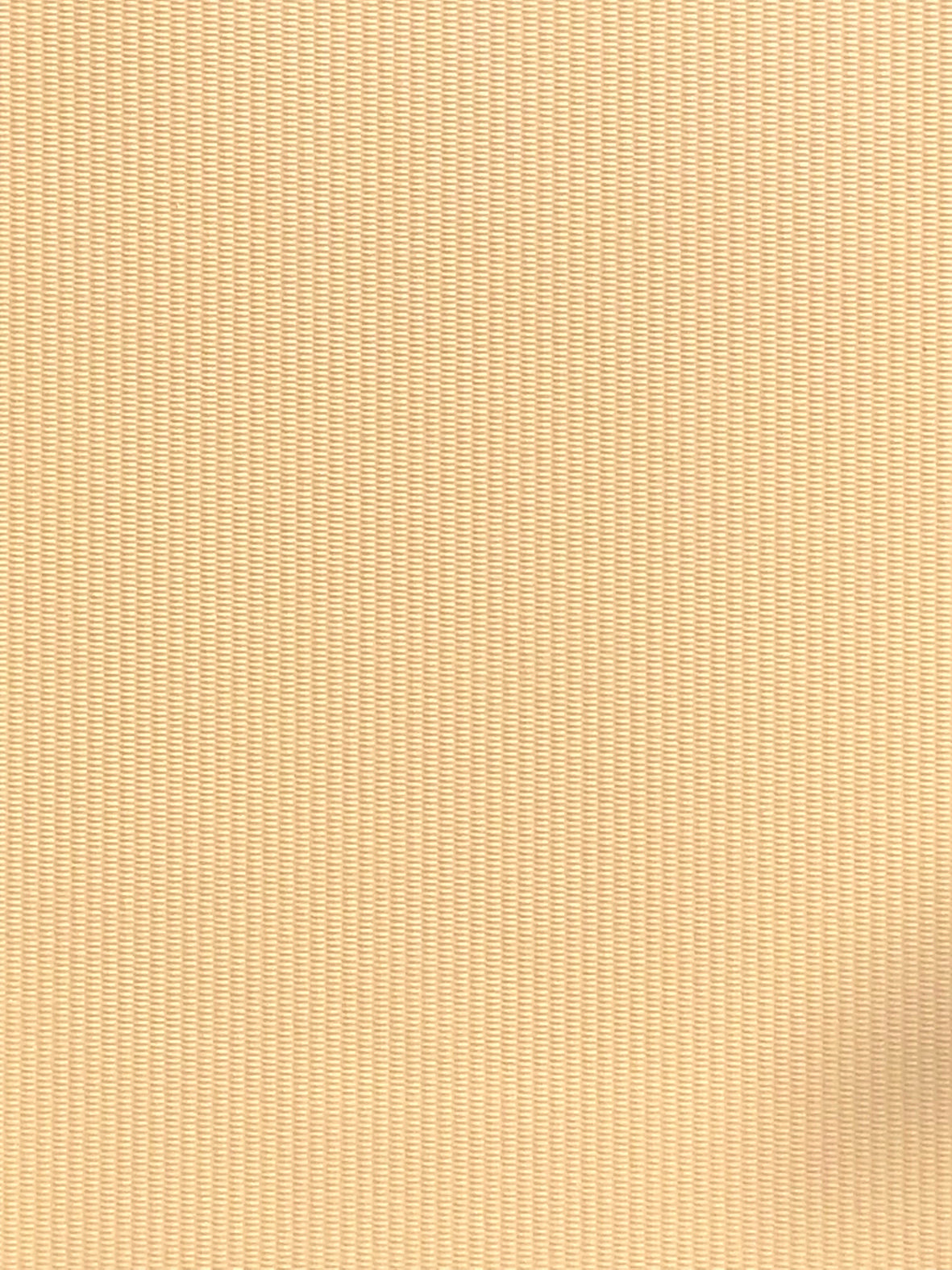 Imagen de RAY-VANILLE