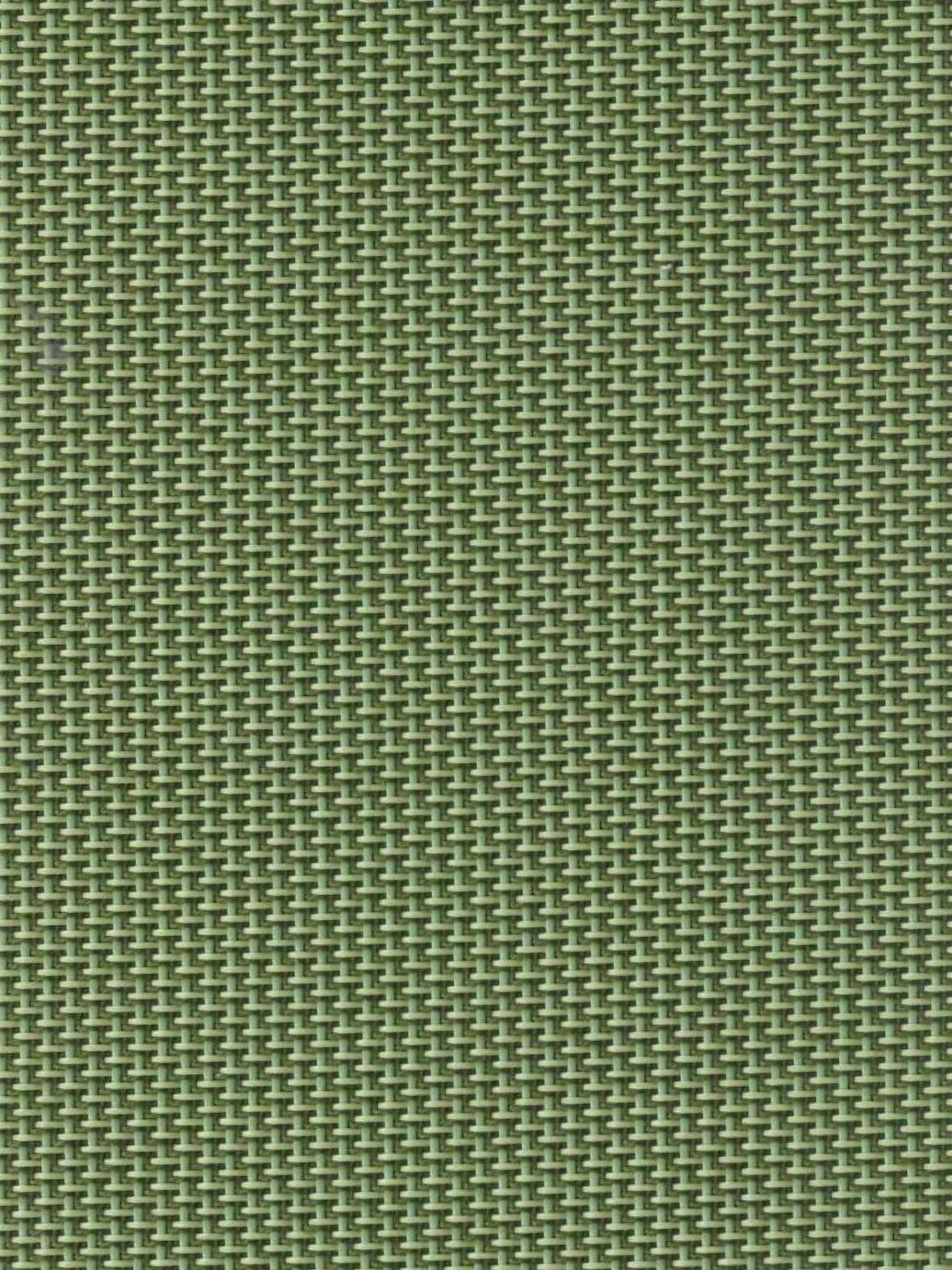 Imagen de REEF-GREEN