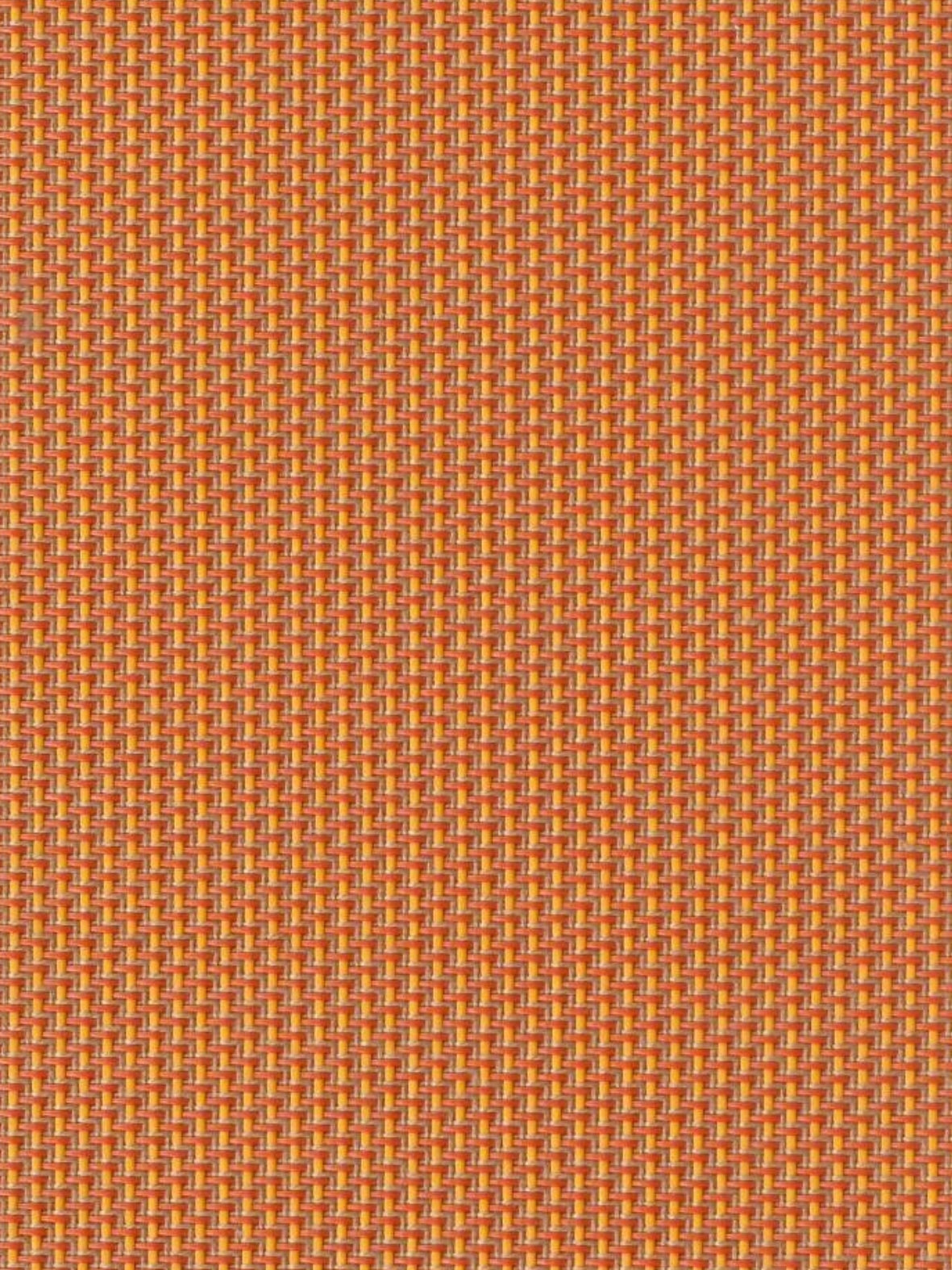 Imagen de REEF-ORANGE