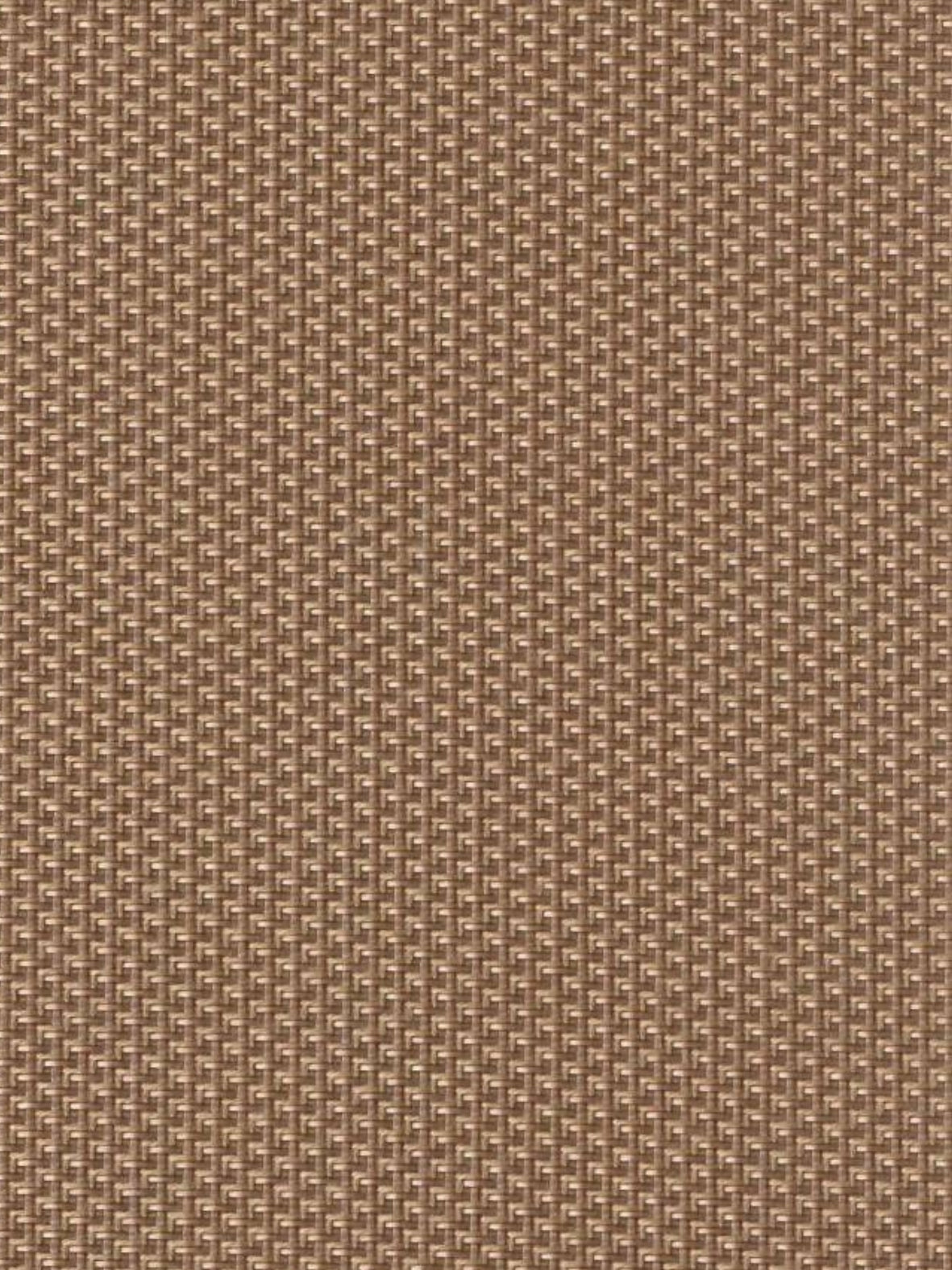 Imagen de REEF-VISON