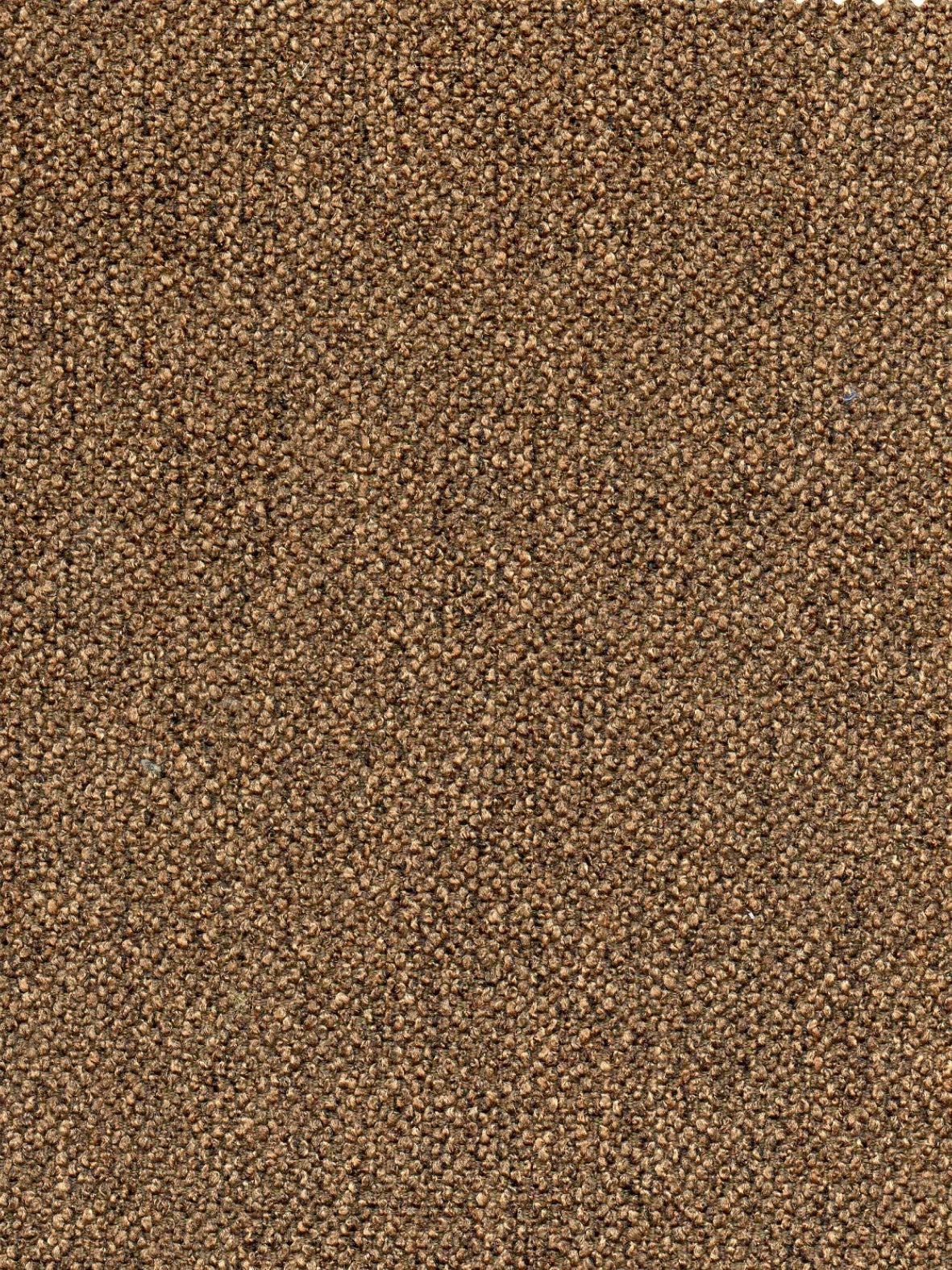 Imagen de RU-BRUNETTE