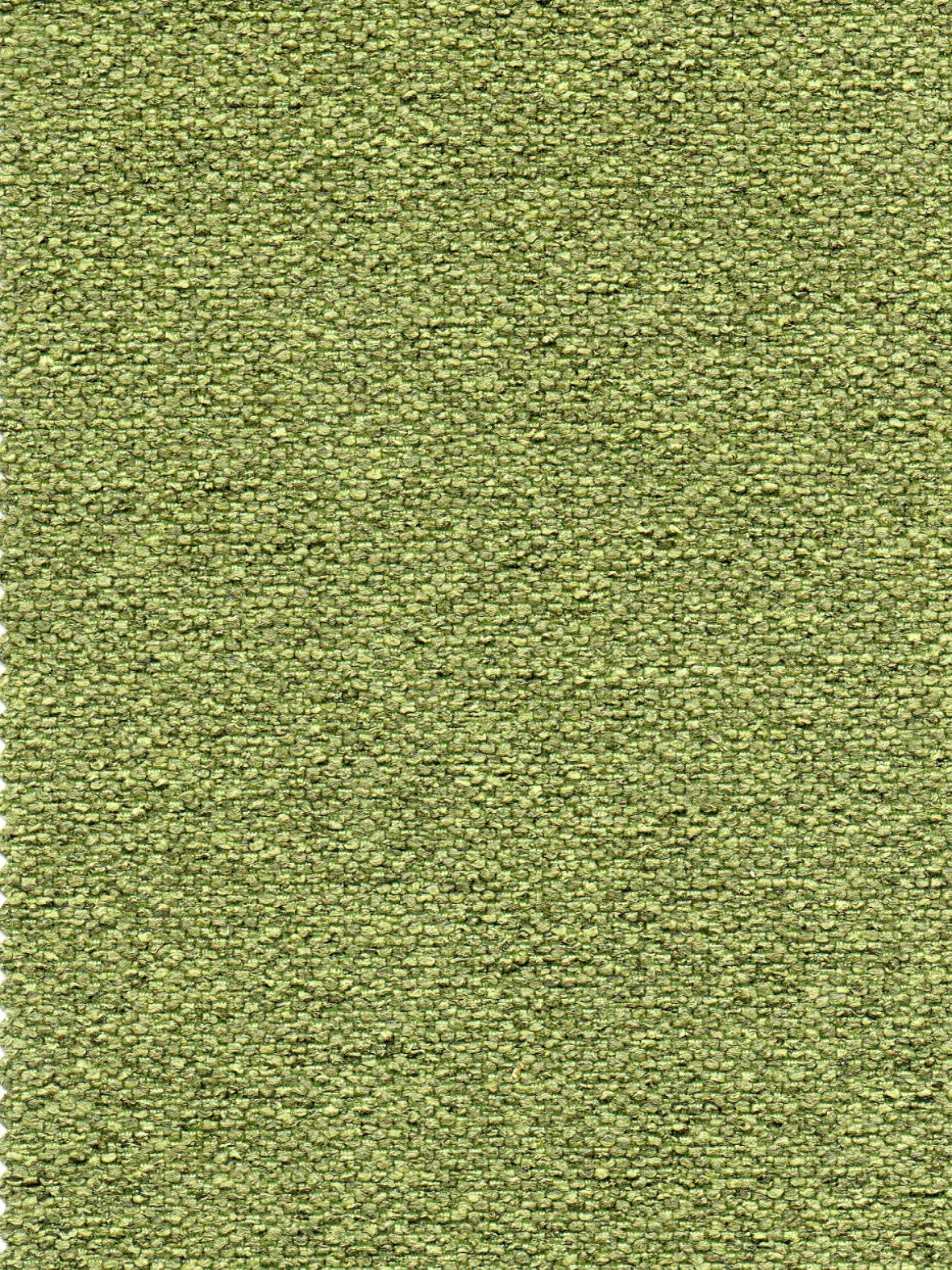 Imagen de RU-GREENERY