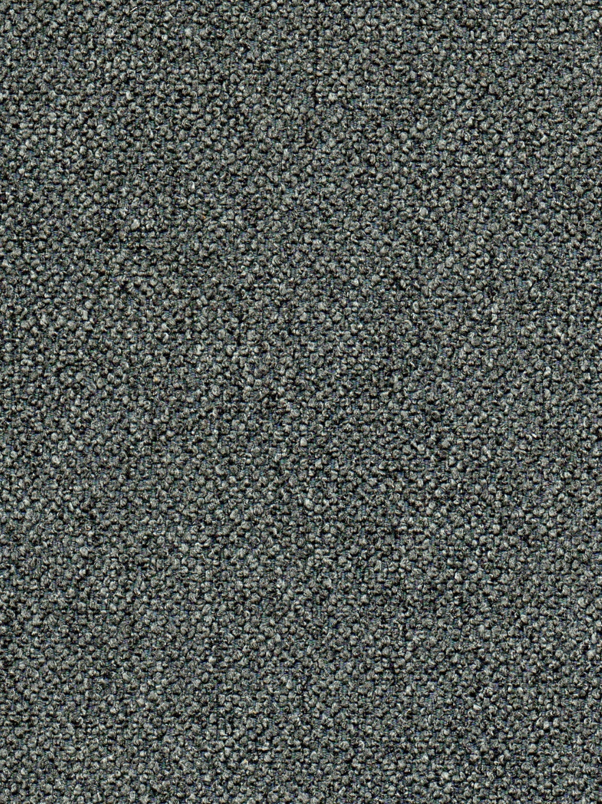 Imagen de RU-TITANIUM