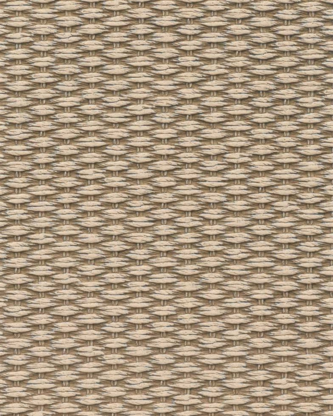 SPARTAN IVORY