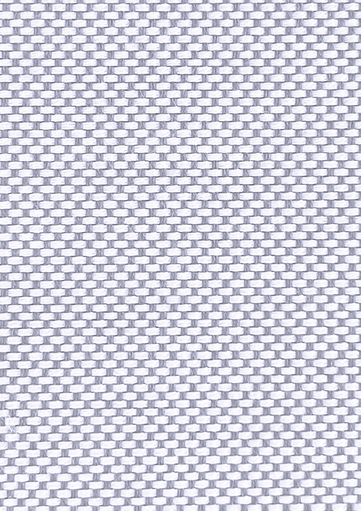 Imagen de VIV-SILVER