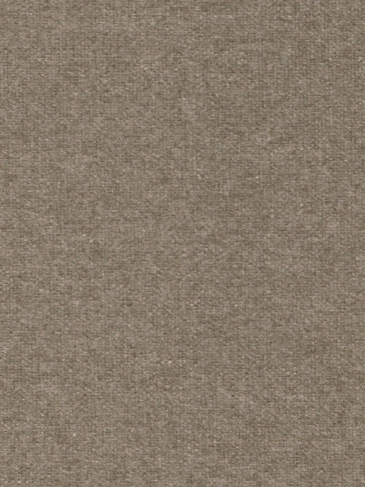 Imagen de WO-TAUPE