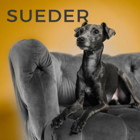 Sueder