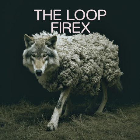 The Loop Firex