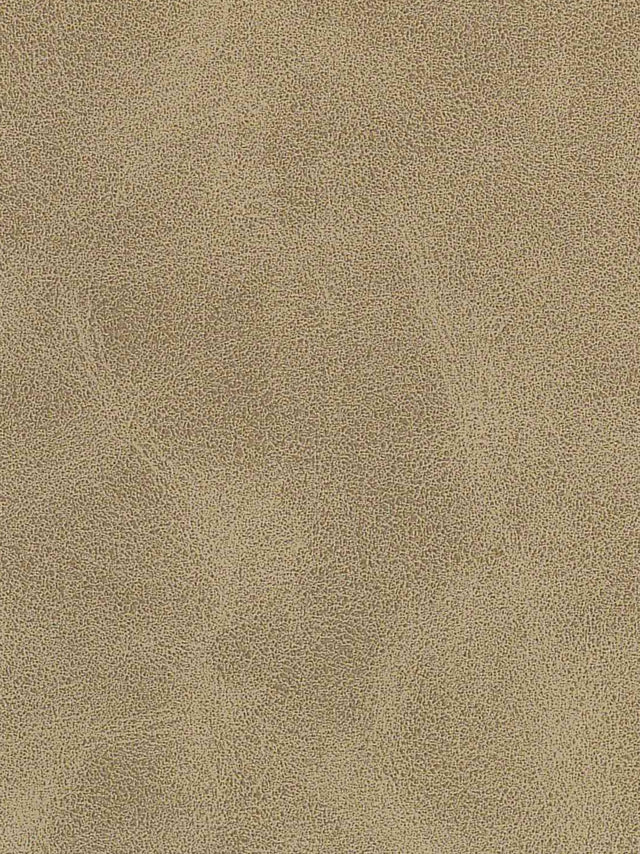 Imagen de A-305-ST-FR